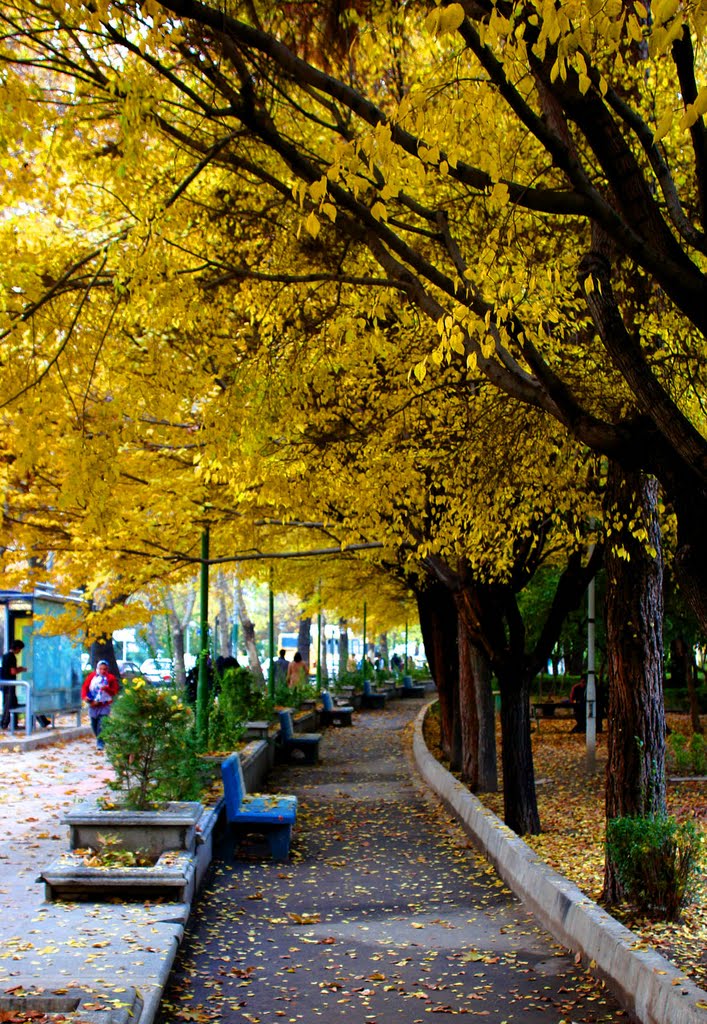 Laleh Park in Tehran (southern side)---Fall 2011 by hamid  s.A.