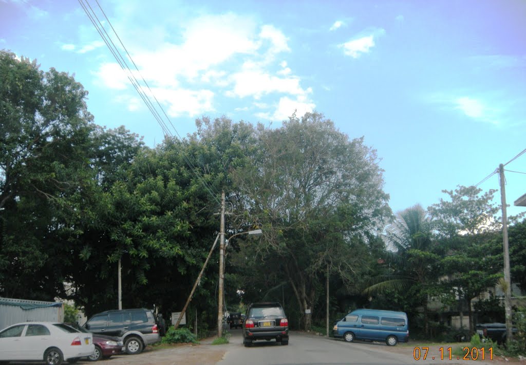 Thimbirigasyaya Road,Colombo 5 by Saman Jayawardene