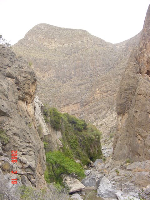 CAÑON DE SAN CARLOS by Manuel Gradó