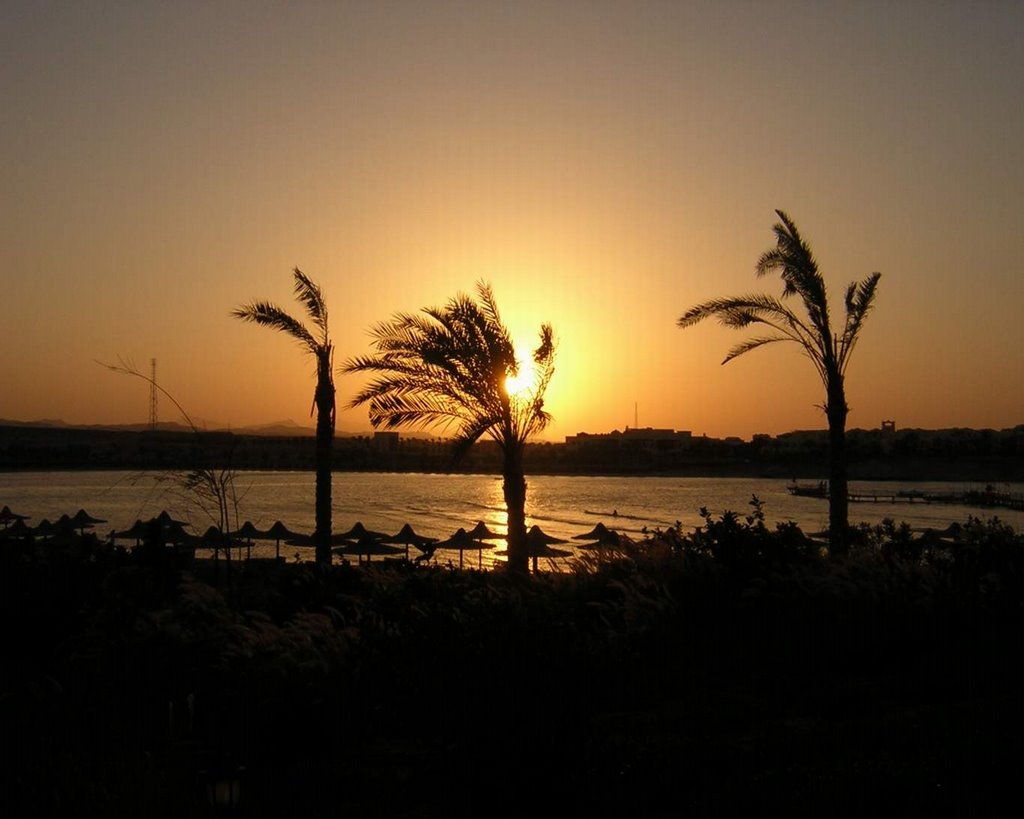 Marsa Alam Evening by StenBianchi