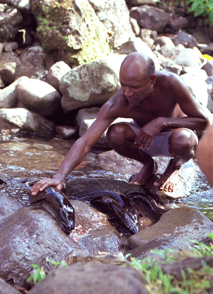 Mbiche, Marovo Lagoon, Solomon Islands, 1999 by magnus@magnuspaulsso…