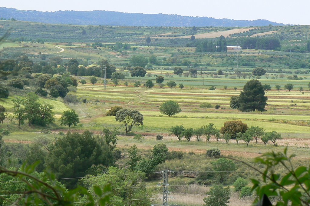 Campo de sayaton by jerupa