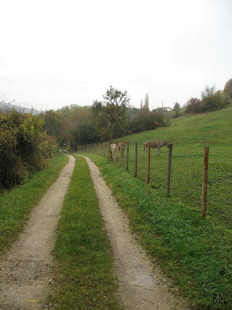 Chemin de terre by Joël Duperrier