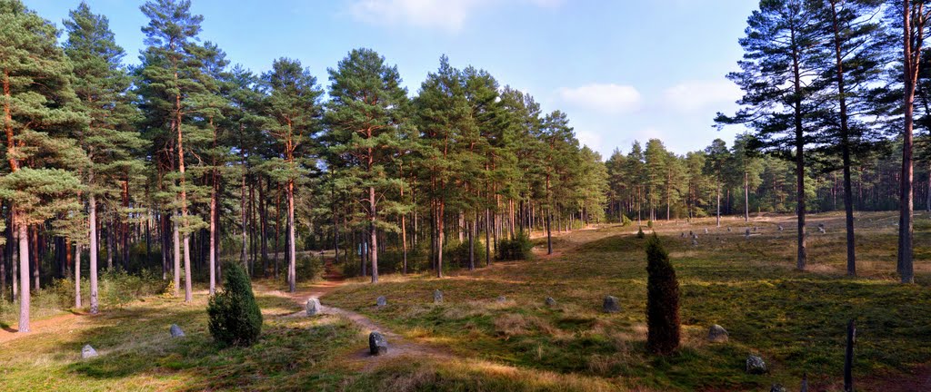 Odry Stone Circle by rredan