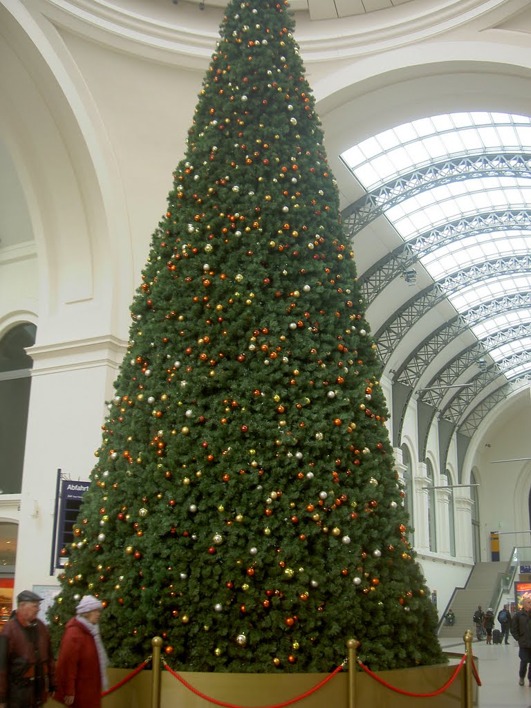 Weihnachtsbaum im Hauptbahnhof by M.Kreuz