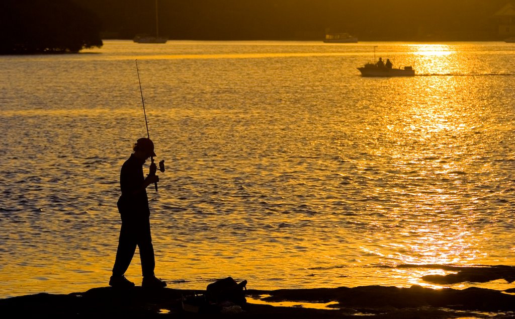 Fishing, Parramatta River by Senex Prime