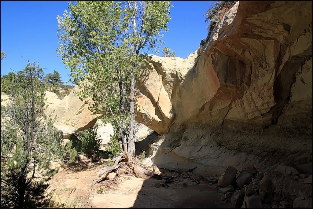 Covered Wagon Bridge, Cedar Wash 21.9.2011 ... C by americatramp.the2nd