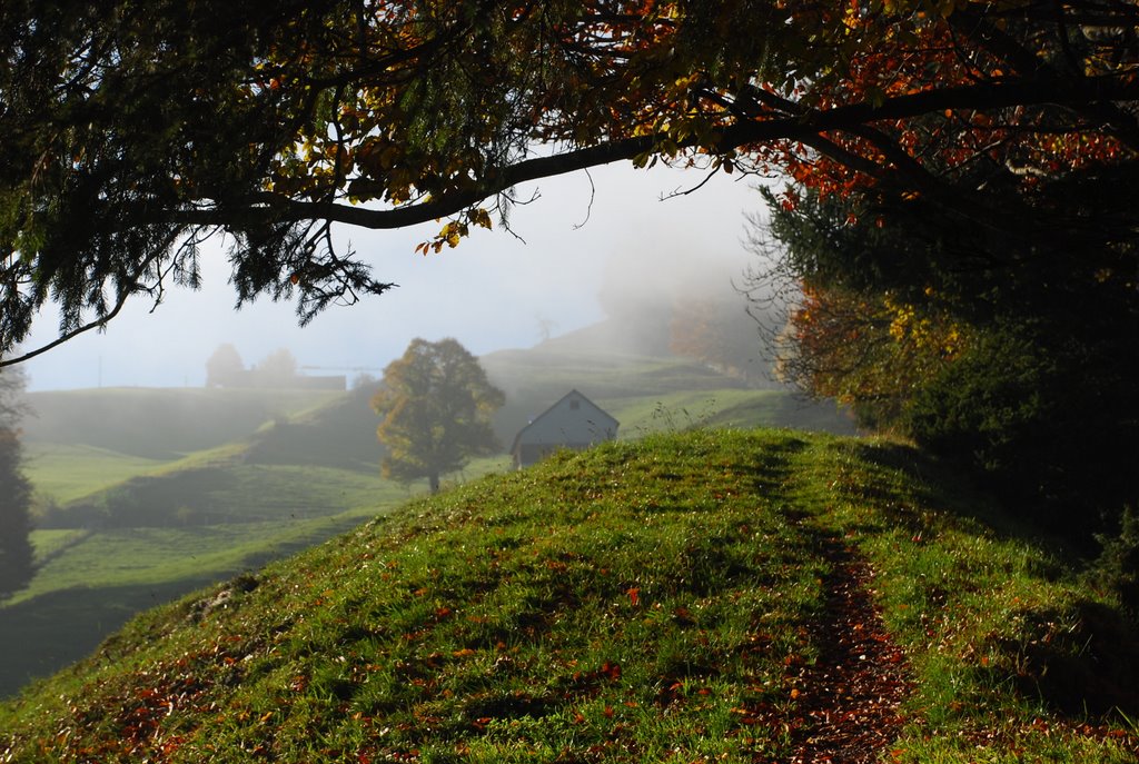 Dälersegg richtung Himmelberg by Johann Kölbener