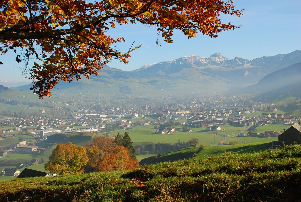 Dalersegg richtung Appenzell by Johann Kölbener