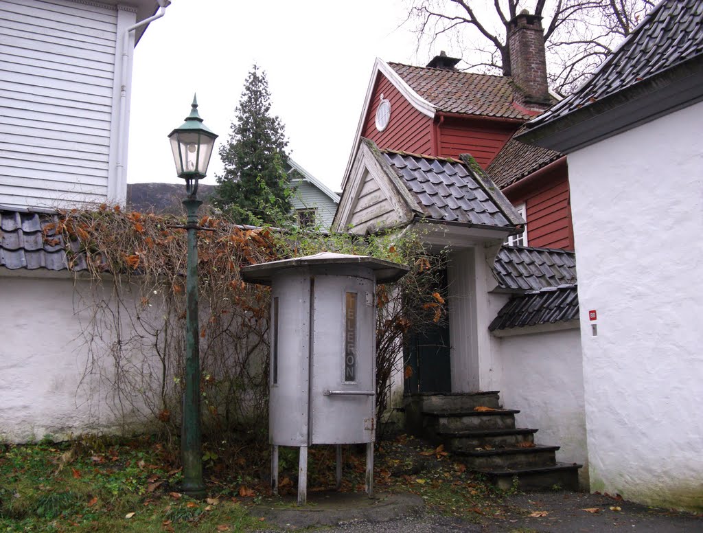 The telephonebox in november by Mona Lygre