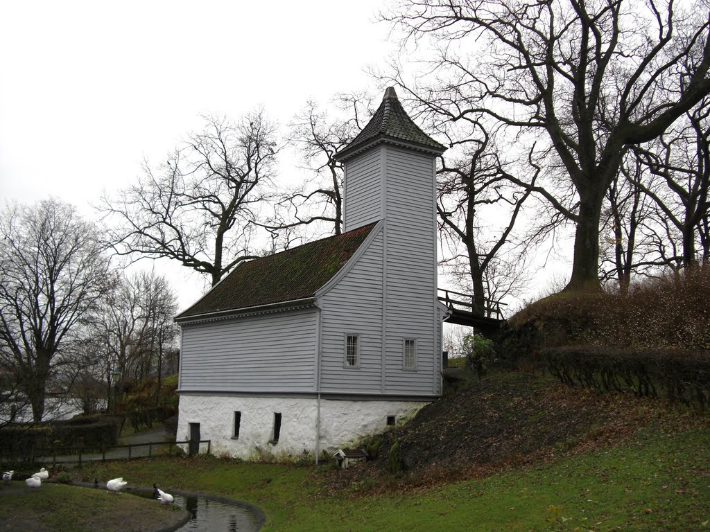 A beautiful house beside the duck pond by Mona Lygre