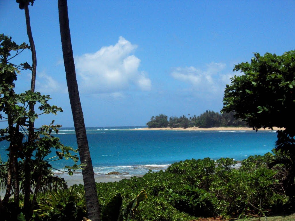 Waininha Bay by Steve & Peggy Wallace