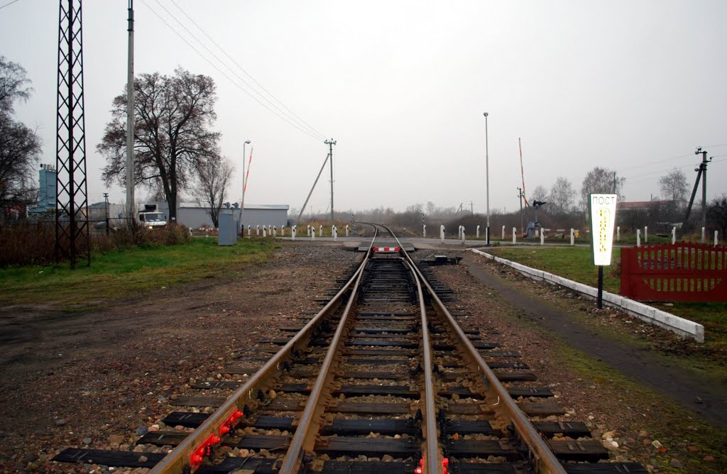 Railway by Sergei Knyshenko