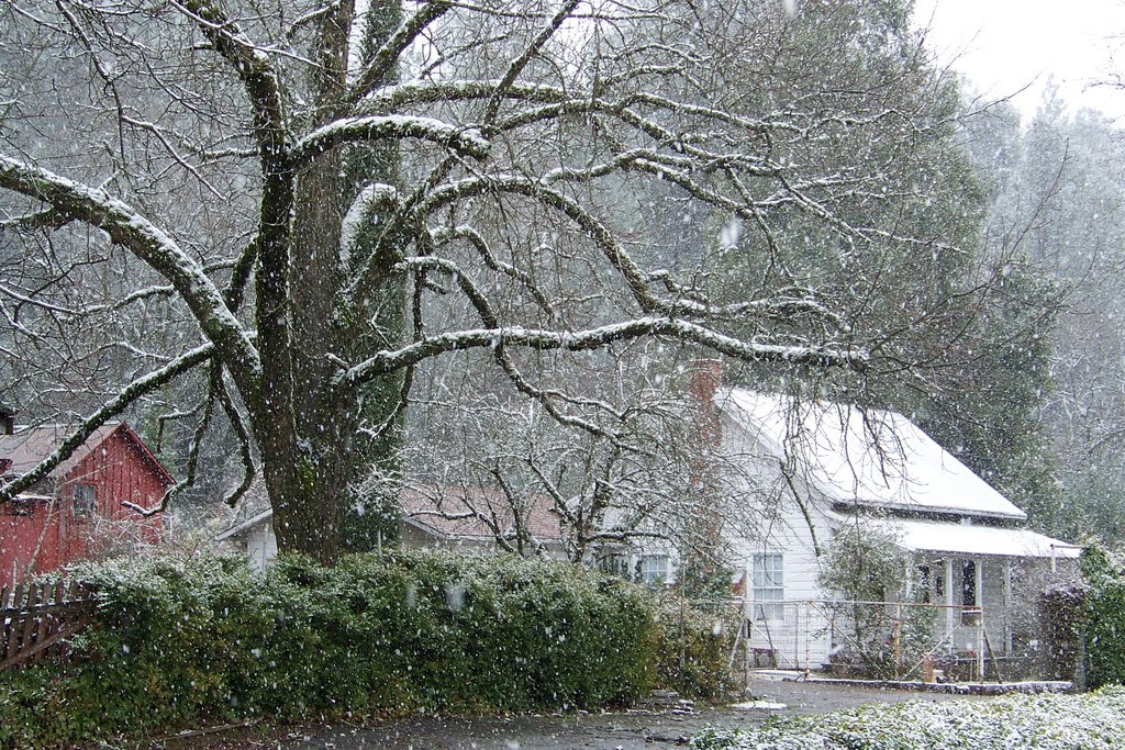 Low Snow by snow pup