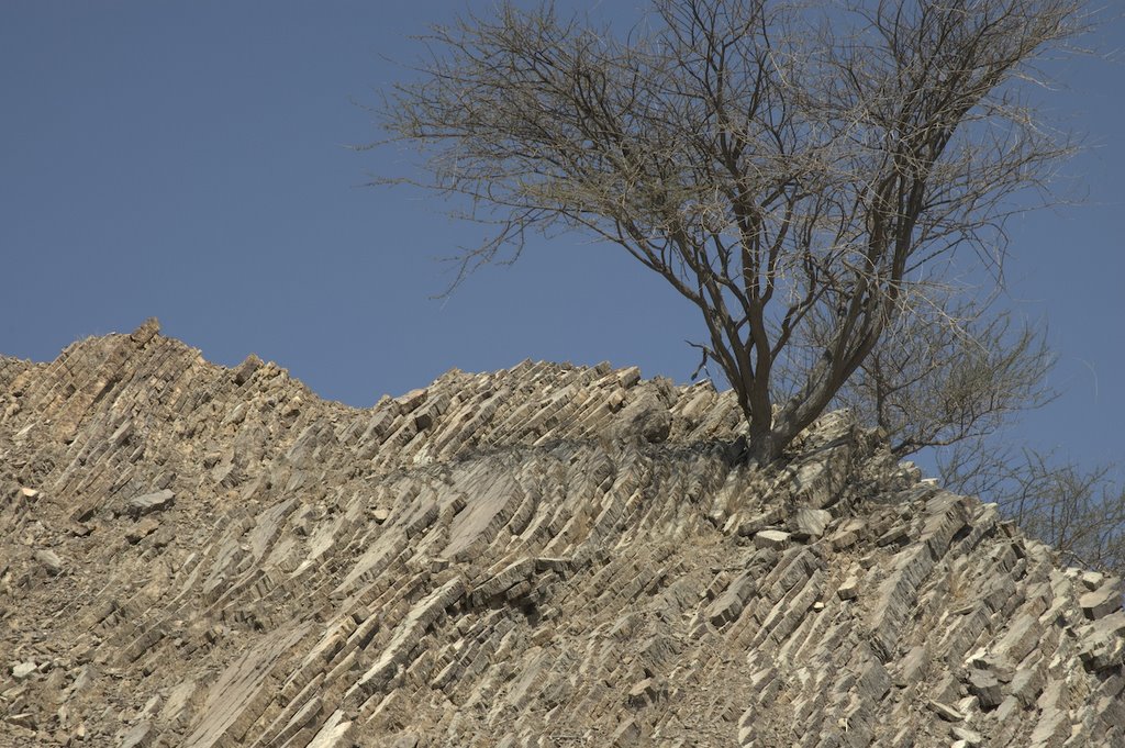 Hatta Oman by Yasser Abdul'aal