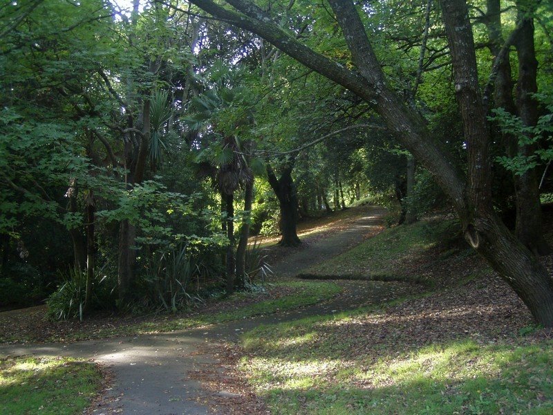 Cwmdonkin Park by Stephen John