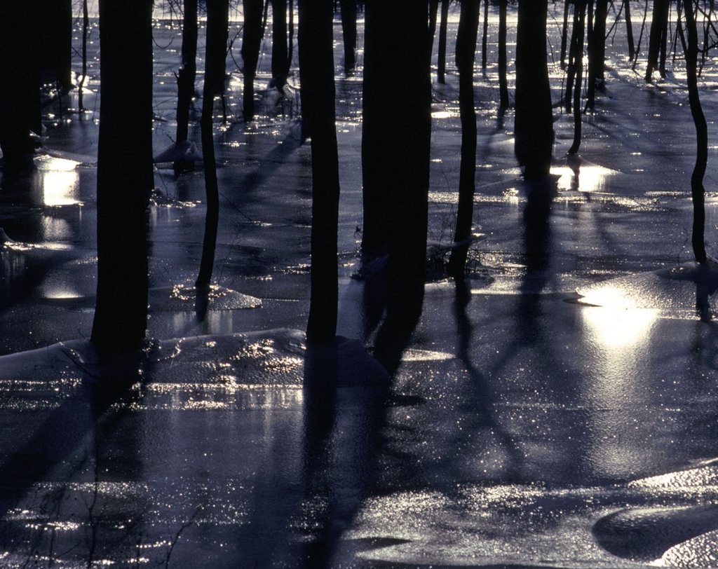 Ice on the pond-take 2! by George Sled