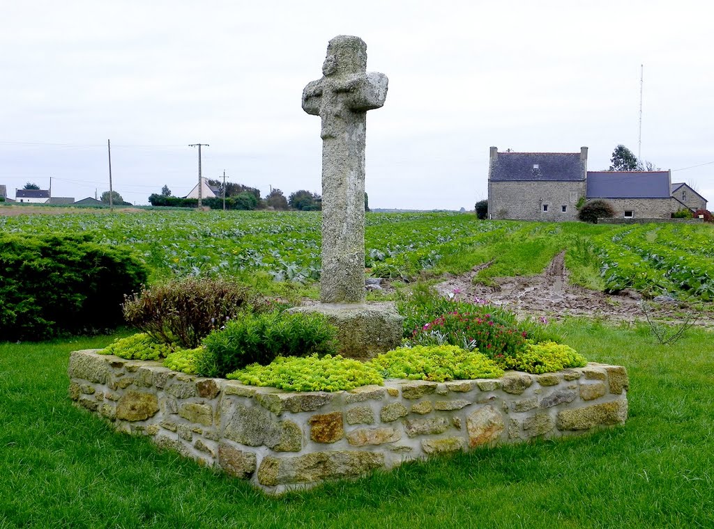 Brignogan - Petit calvaire champètre by epaulard59