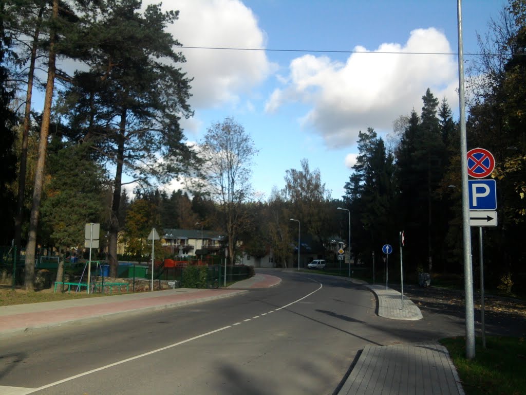 A Street in Ogre by Susinsh