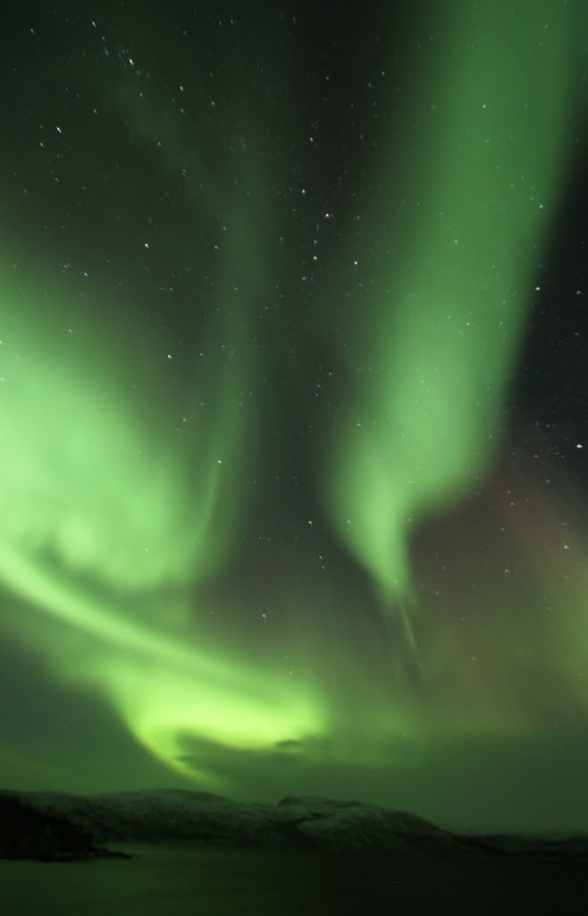 Northern Lights 24th Nov 2011 by jueanu