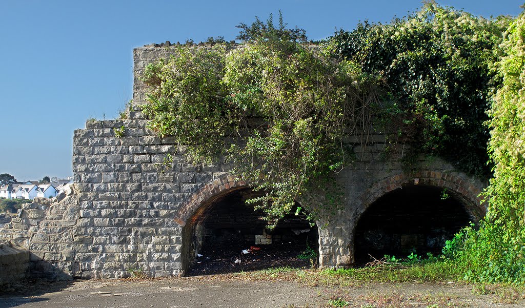 Lime Kilns Barry Harbour by Guybm