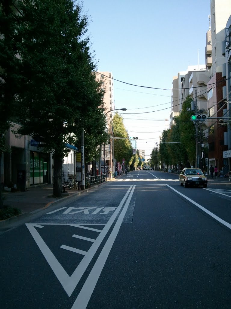 目白通り　Mejiro-dori Street by Grahabudayaindonesia