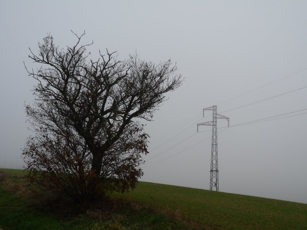 L'arbre et le pylône by dhslt