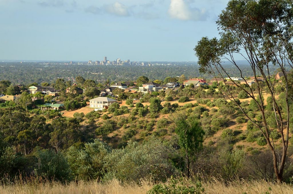 City in distance by CraigWS