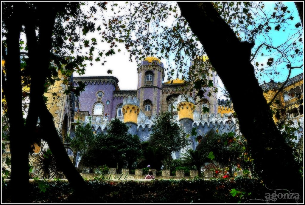 Palacio Da Pena, Sintra. by Ángel González