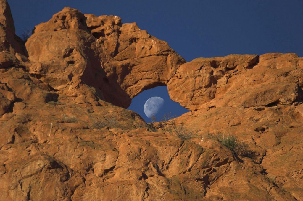 Kissing Camels with Moon Chaperone by Stewart Evans