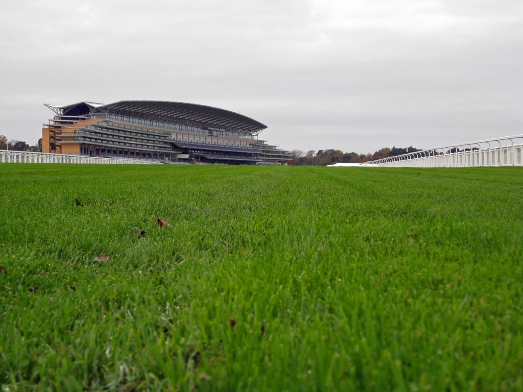 Ascot Turf by mike richardson