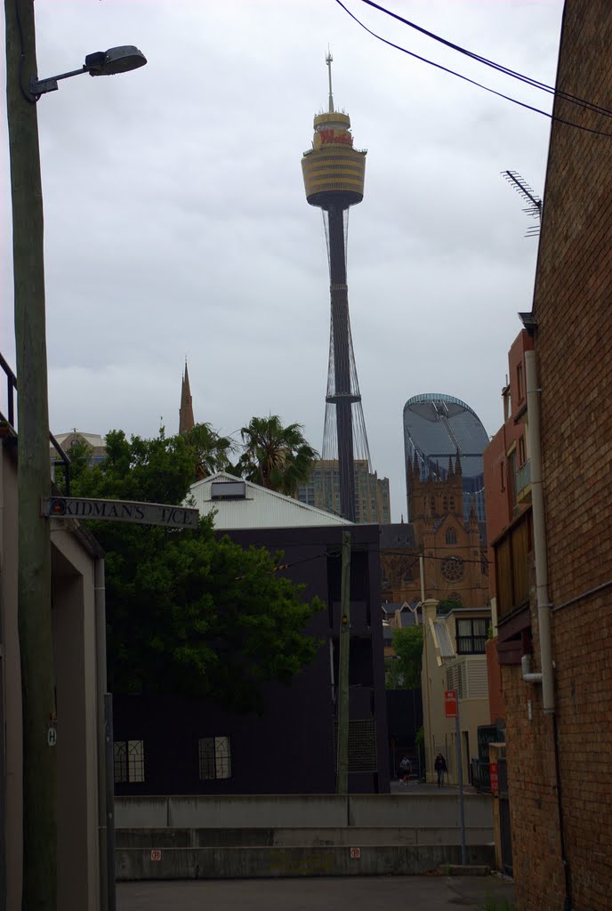 Sydney, Old & New. Sydney tower from Woolloomooloo by Patrizio54