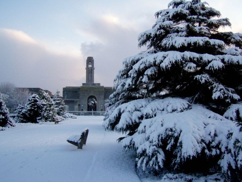 Guildhall Swansea from Victoria Park by Stephen John