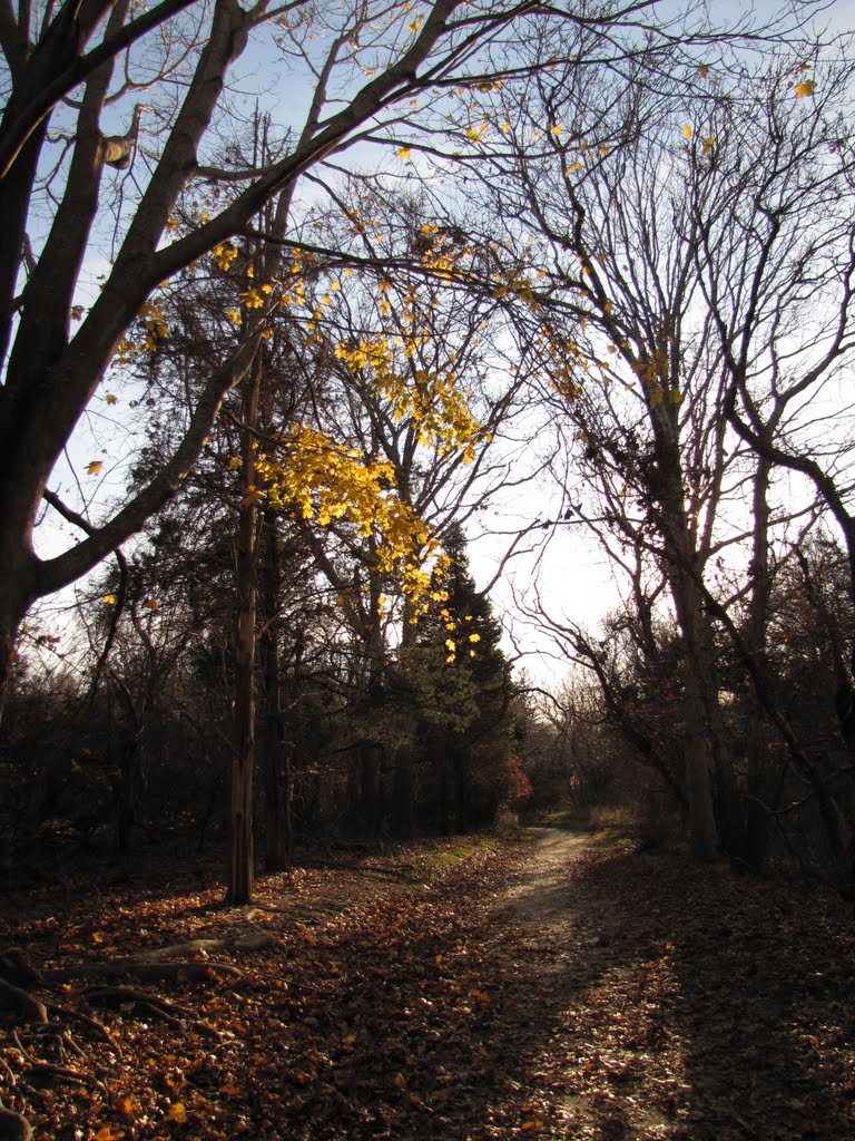 Morton Nature Trail by Chris Sanfino