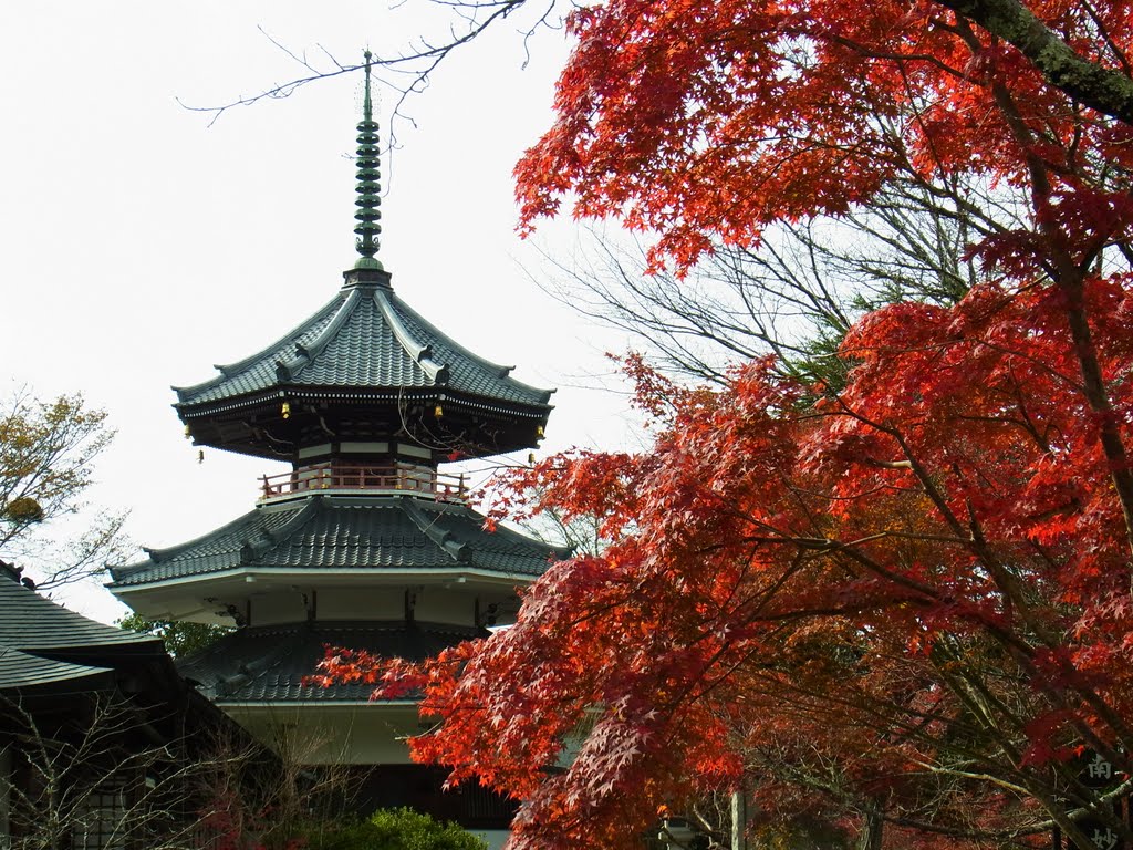 南朝妙法殿(金輪王寺・吉野朝皇居跡) Nanchō-myōhōden, the site of Kinrin-nōji 2011.11.27 by as365n2