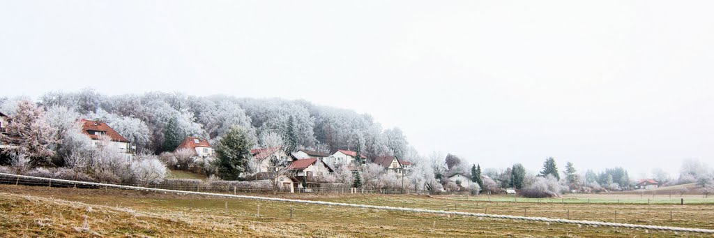 Kesselboden in Rauhreif, Wessling by Volker P. Schenk