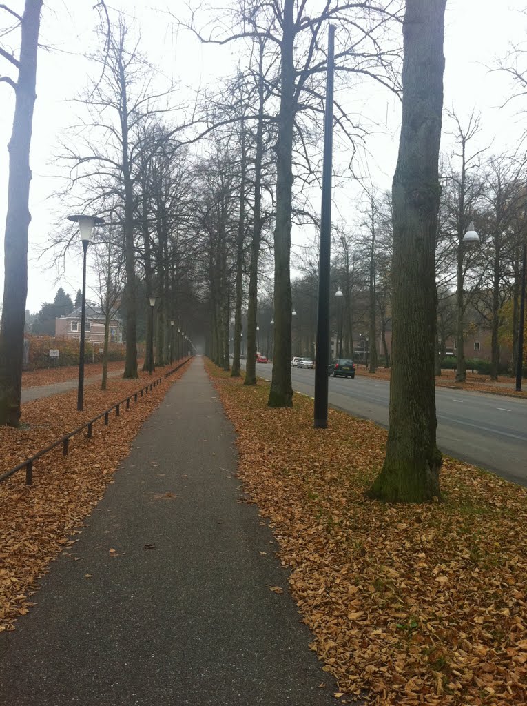 Cycle track in Apeldoorn by santoshkpt