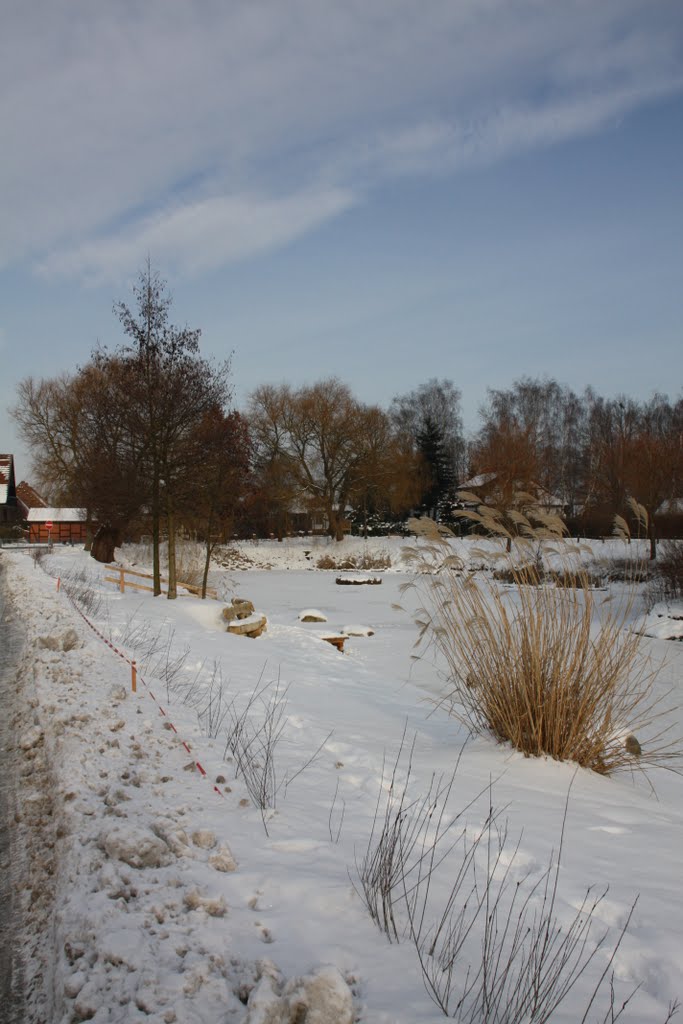 Winter am Teich by Mecklenburg pro Panoramio