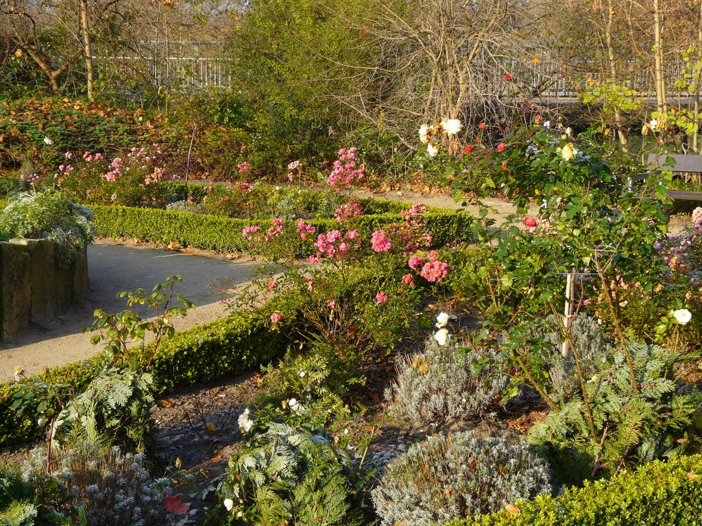 Kräutergarten im Kurpark Bad Fallingbostel by Dominic Techau