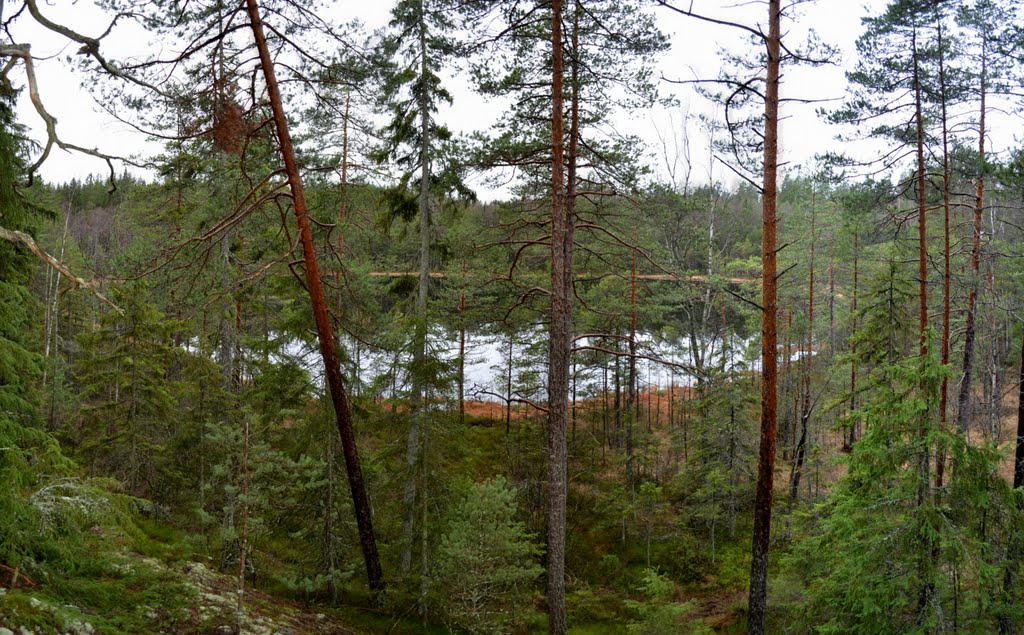 A panorama from the NE side of Lake Pikku Sorlampi (Pirttimäki recreation area, Espoo, 20111127) by RainoL