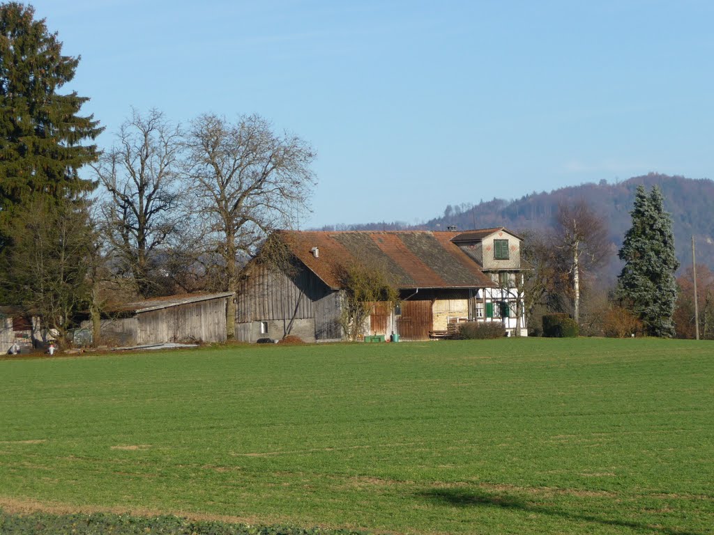 Bauernhof an der alten Aescherstrasse by bienenritter