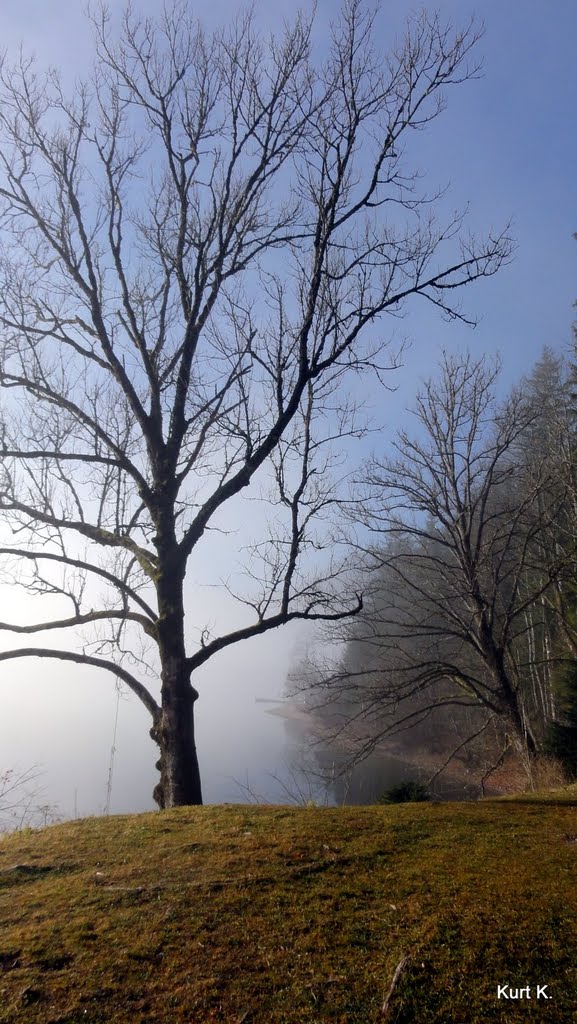 Morgenstimmung am Altausseer See by Kurt Kopeinig