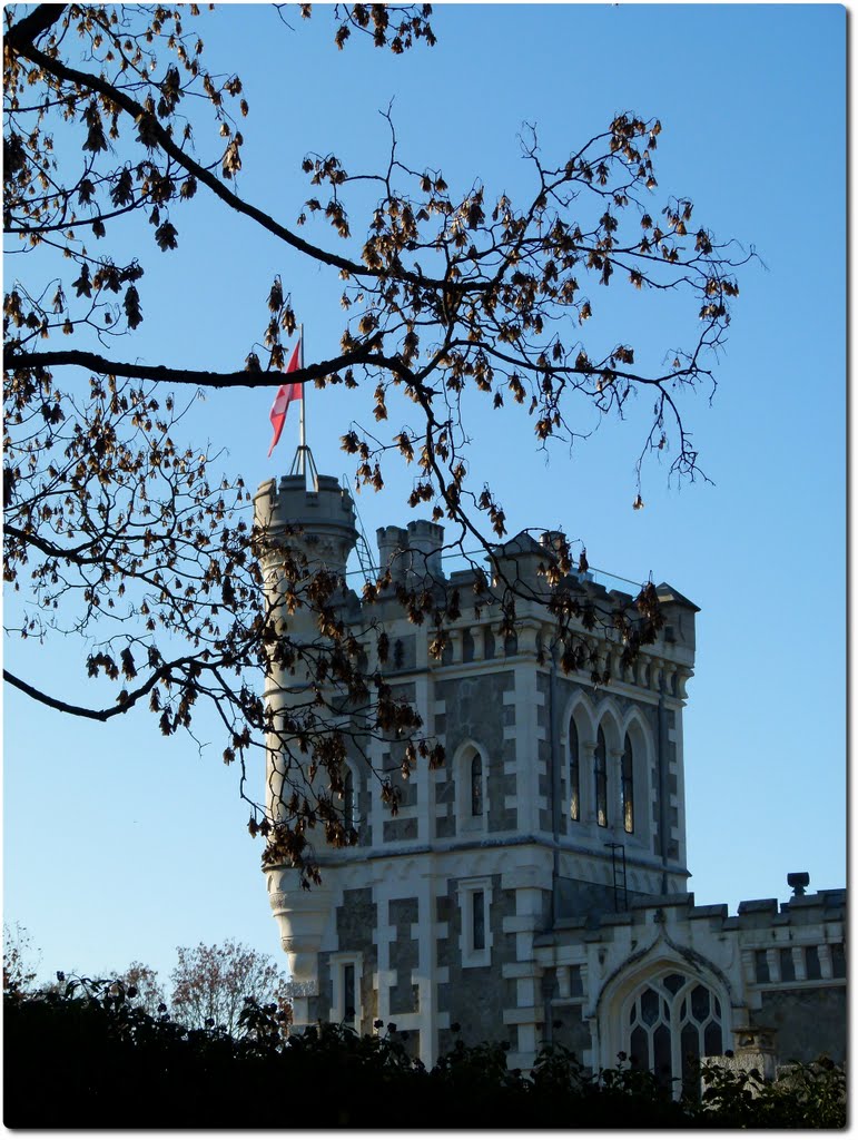 Château El Masr by Magda GHALI