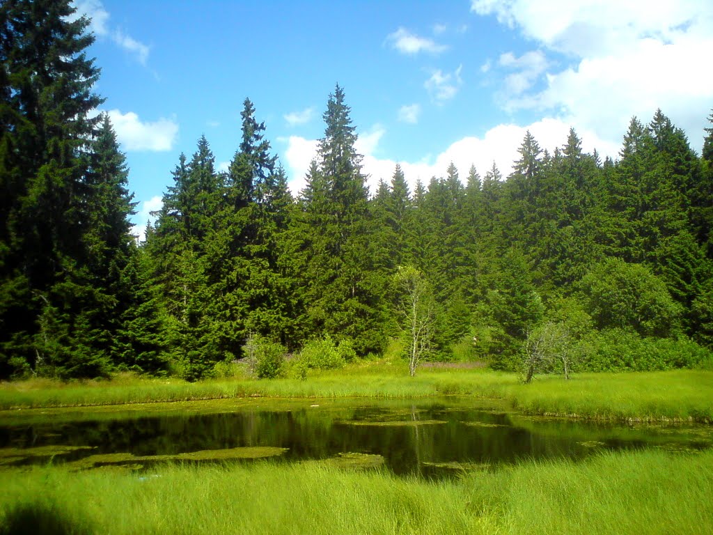 Lake at Golija, beautiful nature Serbian by Аврамс