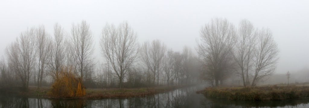 LA NATURALEZA SE OCULTA TRAS UN MANTO GRIS by OSTAJOSEBA