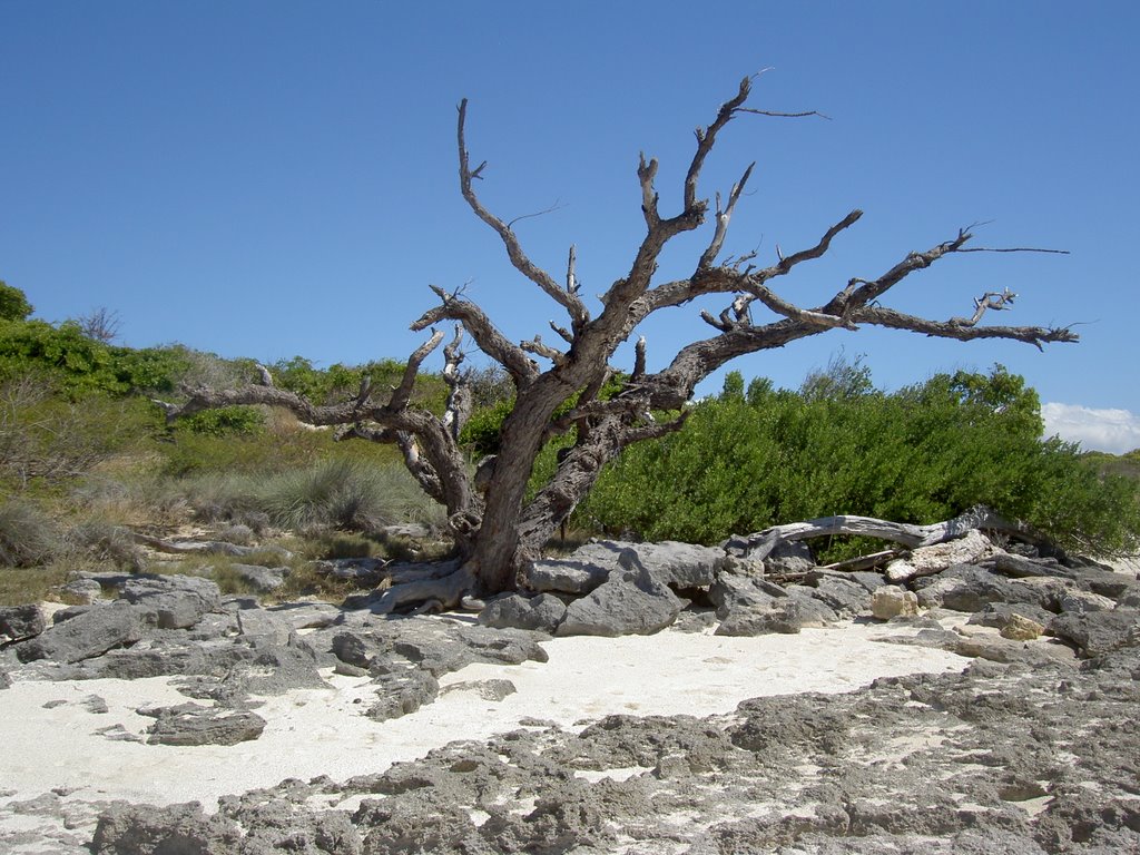 Playa Ramena by robertogarcia