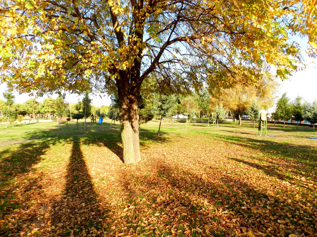 Iran _ Mazandarn _ Babol _ Park Noshirvani by Gholami Mohsen