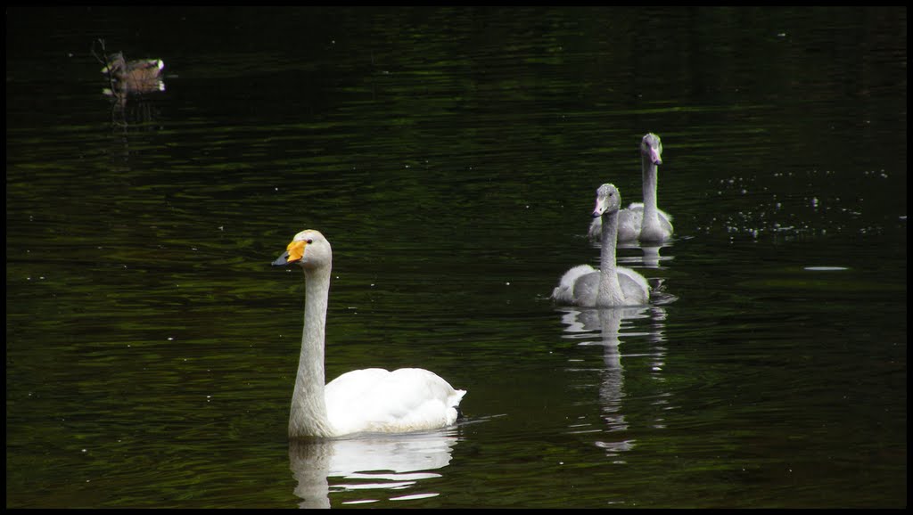 Mother and kids by Paul Michael Christensen