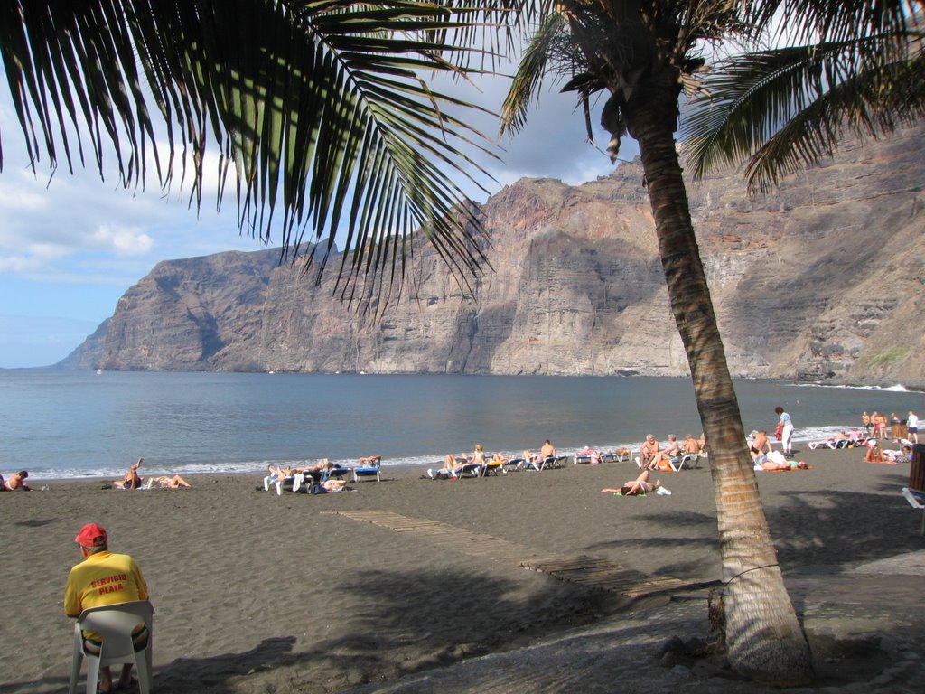 Beach at Los Gigantes by Heikki Mäki