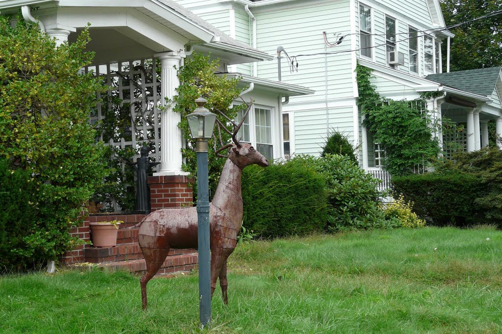 Deer lamppost by Geraldine Clark